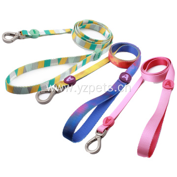 Colorful Dog Leash